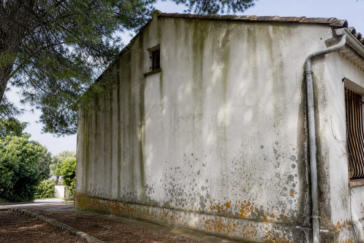 Façade d’une villa méditerranéenne à l’enduit gratté ocre partiellement couvert de traînées vertes sur le pignon ombragé